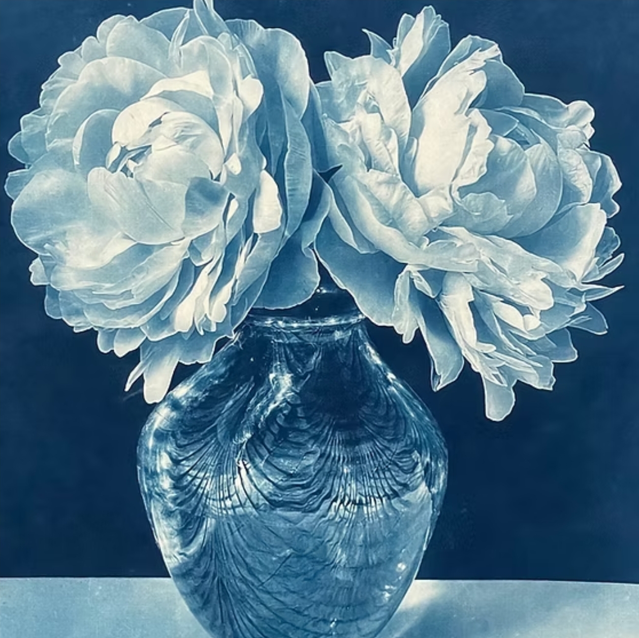 Lush peonies 